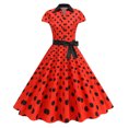 thumbnail image 1 of Offre à Durée Limitée Iumwxz Robe à Col à Revers à Manches Courtes pour Femmes Fermeture Éclair Boutons Robe Rétro à Volants avec Ceinture Robes à Pois Robes pour Femmes Robe Habillée pour Porter par-Dessus, 1 of 9