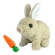 thumbnail image 2 of Bunny Toys Juguete educativo de aprendizaje temprano para niños Regalos de cumpleaños (Amarillo) Ndcxsfigh libre de BPA, 2 of 9