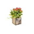thumbnail image 3 of WGV Rustic Wood Planter Long Box - 4" Long x 4" Height, Good quality, Heavy Weighted Base - 1 Pc, 3 of 8