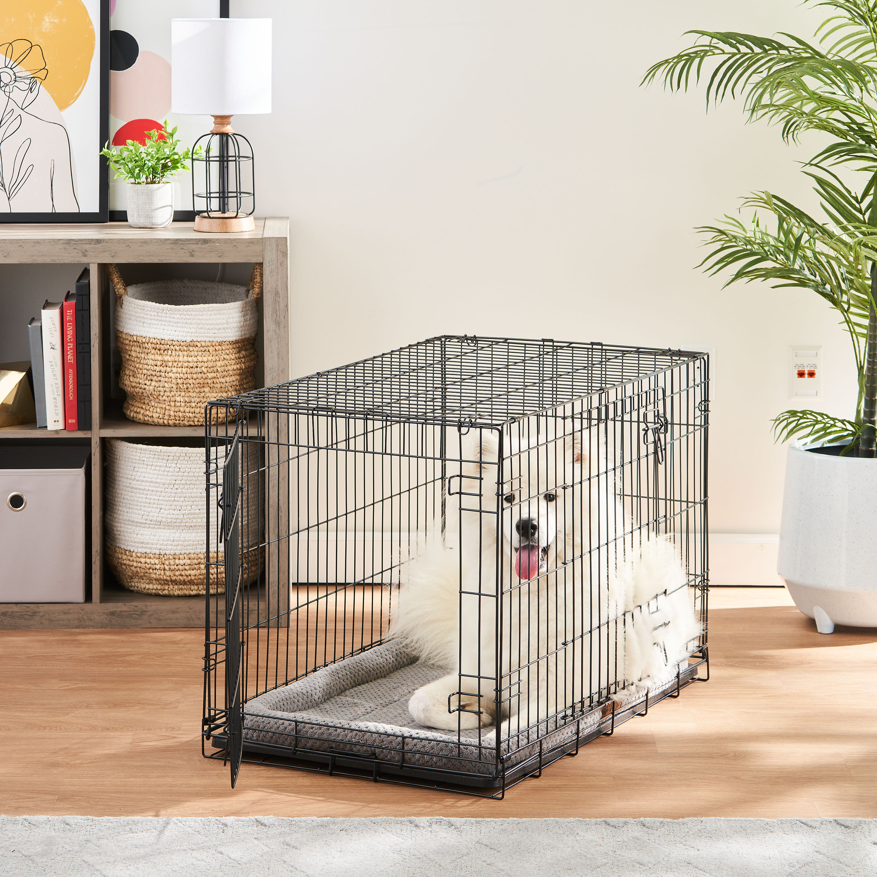 Vibrant Life Double Door Metal Wire Dog Crate with Leak-Proof Pan and Divider，36 inch - image 2 of 9