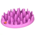 thumbnail image 4 of CATCH Interactive Feeder, 4 of 5