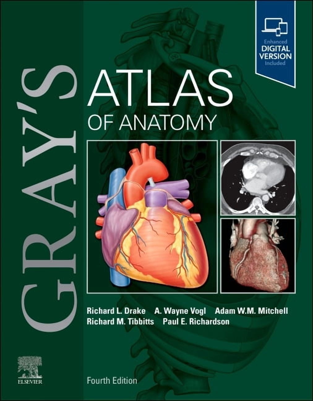 Atlas of Neurosurgical Anatomy: The Pterional Perspective