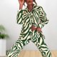 thumbnail image 5 of Top De Manga Larga + Pantalones Top de manga larga para mujer + Pantalones Camisa estampada + Pantalones de cintura alta (Verde L) Ygjytge para Mujer Verde T S, 5 of 6