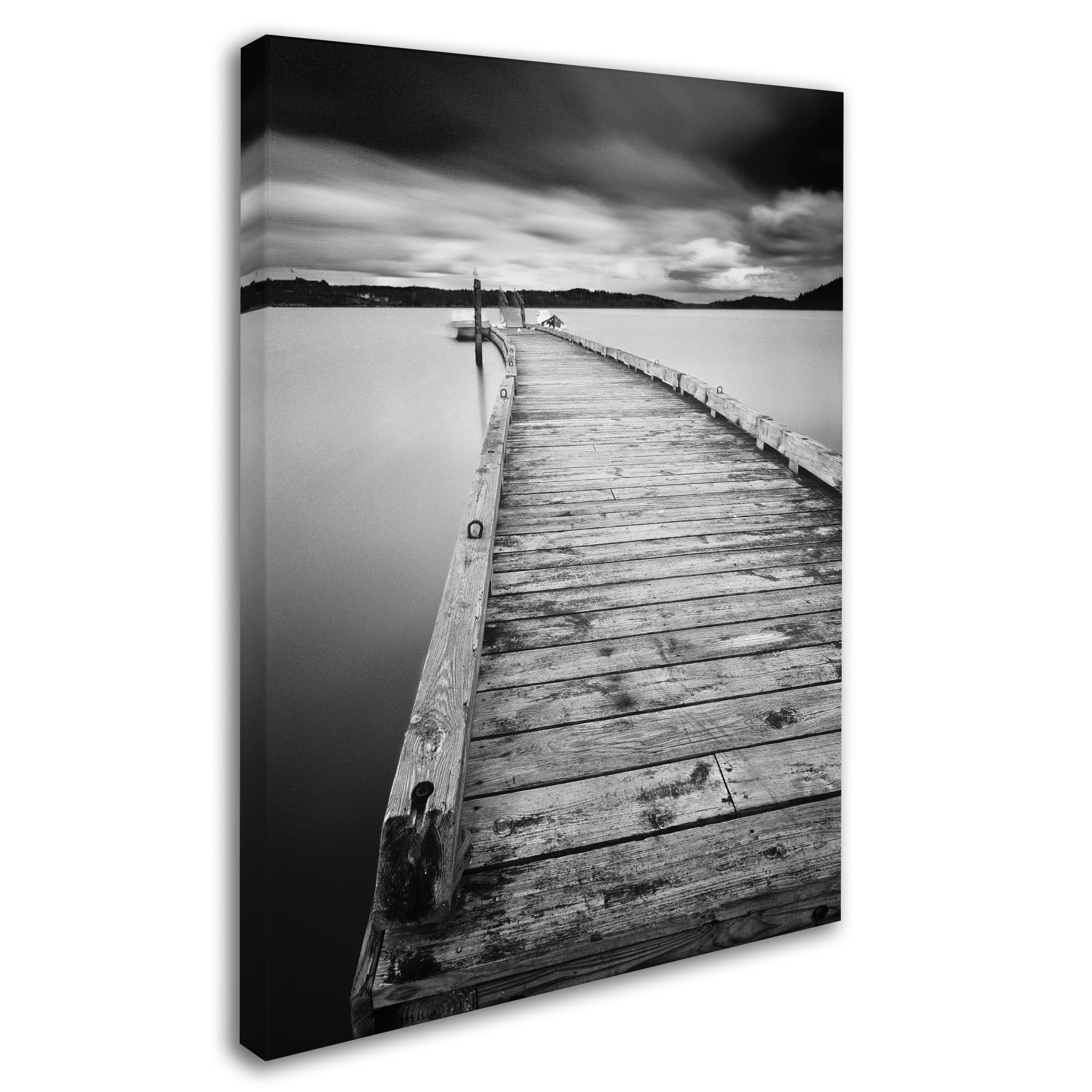 Moises Levy 'Motchia' Canvas Art