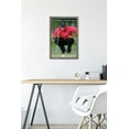 thumbnail image 6 of Tiger Woods - The Ball & Me Wall Poster, 14.725" x 22.375" Framed, 6 of 6