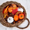 thumbnail image 5 of 172pcs Thanksgiving Artificial Pumpkins Decoration Set,halloween Mini Fake, 5 of 5