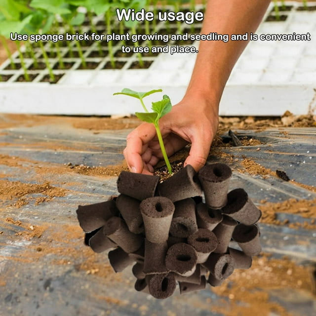 pitrice 100 Pieces Garden Rooting Sponge Brick Water Absorbent Home Garden Single Seedling Potting Block Flower Plants Growing Media Gardening Accessory