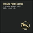 thumbnail image 5 of Purina Pro Plan Complete Essentials Wet Dog Food, High Protein Shredded Beef, 5.5 oz Can, 5 of 11