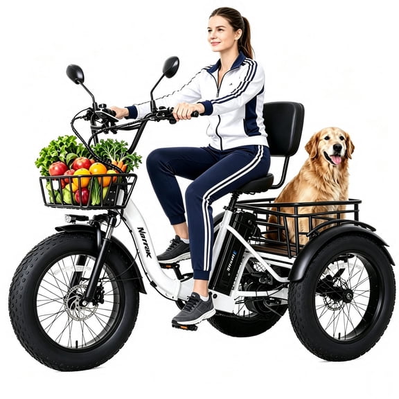 Narrak Adult Folding 3 Wheel Electric Trike,750w(Peak1350w) 20" Fat Tire Ebike,48v13ah Battery,Max 20mph,Hydraulic Brake,Dual Storage Baskets