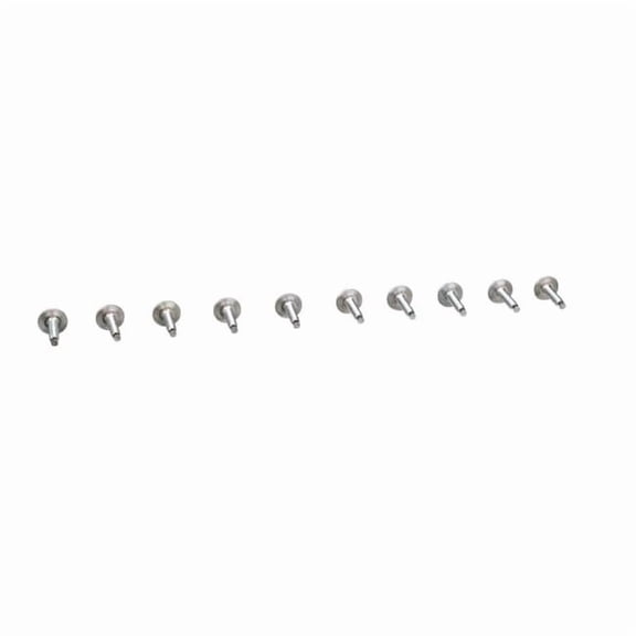 Square D Cover Trim Screw Kit 3/4In (10/Bag) 4020513002K