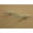 Clear, variant on Amore Designs CPTSVERVEMINIOP Concepts Mini Verve Opaque Glass Shelf