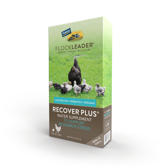 FlockLeader Recover Plus Poultry Supplement for Chickens, 2.5 Ounce