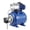 Blue, variant on 1.6HP Stainless Steel Shallow Well Jet Pump with Pressure Tank, Automatic Water Booster 1320 GPH 115V for Home Garden Farm Irrigation Yard RV, Black/Blue