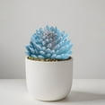 thumbnail image 5 of Simulation Of Succulent Blue Flocking Plants, Home Decoration Fun Ornaments, 12 Pcs Artificial Succulents With Wired Stems For Wreaths Terrariums Flower Pots Diy Decor, 5 of 7