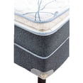 thumbnail image 2 of Colchón + Box Queen Size + Protector Spring Air New Edition, 2 of 2