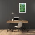 thumbnail image 3 of Buhl, Karl 11x14 White Modern Wood Framed Museum Art Print Titled - Caribbean-West Indies-Dominica Island One of Dominicas most popular natural attractions, 3 of 4