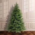 thumbnail image 2 of National Tree Company 7 ft. Frasier Fir Unlit Artificial Christmas Tree, 2 of 6