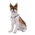 thumbnail image 4 of Loveshine Collar De Cadena Para Perro De Plata Pulida Con Es, 4 of 7