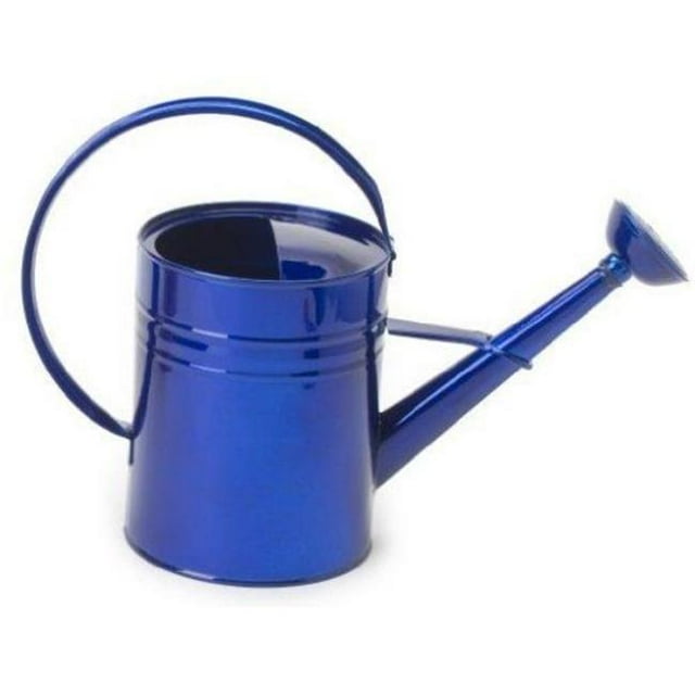 HIT 8582E GB 1 gal Enameled Galvanized Steel Watering Can with Removable Rosette, Glazed Blue