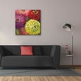 thumbnail image 3 of Epic Graffiti 'Zinnia Gala I' by Carol Rowan, Giclee Canvas Wall Art, 37"x37", 3 of 8