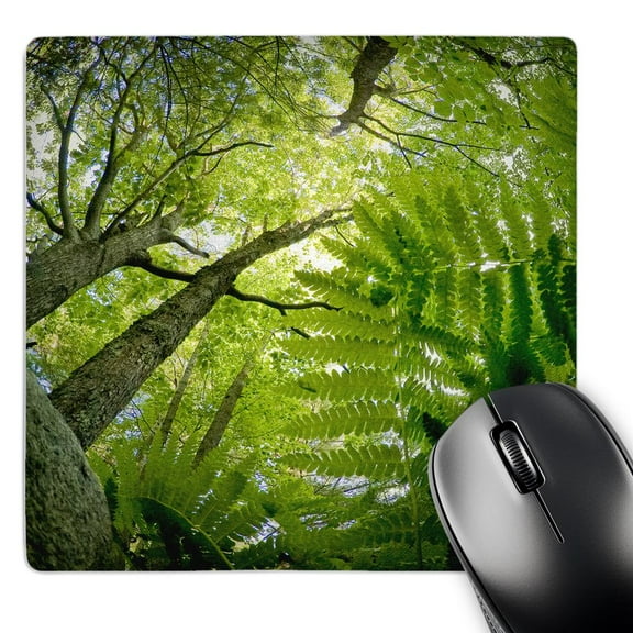 3dRose, Forest scene in Acadia National Park, Maine - US20 RSP0011 - Rob Sheppard, MousePad