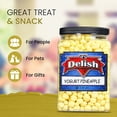 thumbnail image 5 of Yogurt Covered Pineapple Dices by It's Delish, 3 LBS Jumbo Container  Kosher Dairy-Free Jumbo Yogurt Covered Fruit for Vegan Snacking  Dried Diced Pineapple Coated in Yogurt-Flavored Shell Snack..., 5 of 7