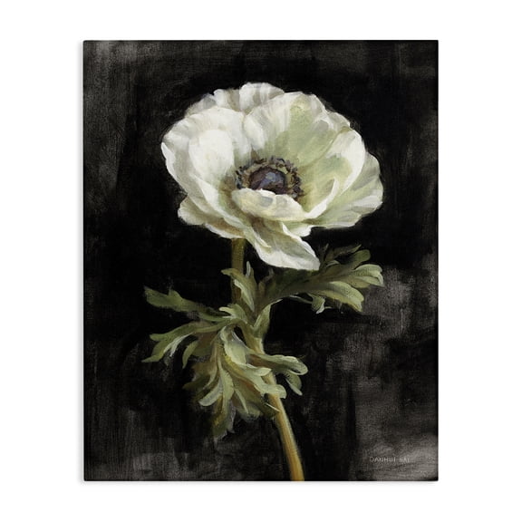 Stupell Industries Anemone on Black Plants & Flowers Painting Wrapped Canvas Art Print Wall Art, 16 x 20