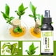 thumbnail image 4 of Fiudx Ofertas de la semana Solución nutritiva especial de madera brasileña de tipo inyección directa sin dilución de 100 ml, 4 of 6