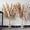Brown, variant on 46" inch 10 Stems Natural Pampas Grass Decor Tall, Pompas Grass, Tall Pampas Grass for Weddingm, Farmhouse, Home Decor (Brown)