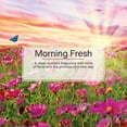 thumbnail image 4 of Little Trees Air Freshener Morning Fresh Fragrance 24-Pack, 4 of 9