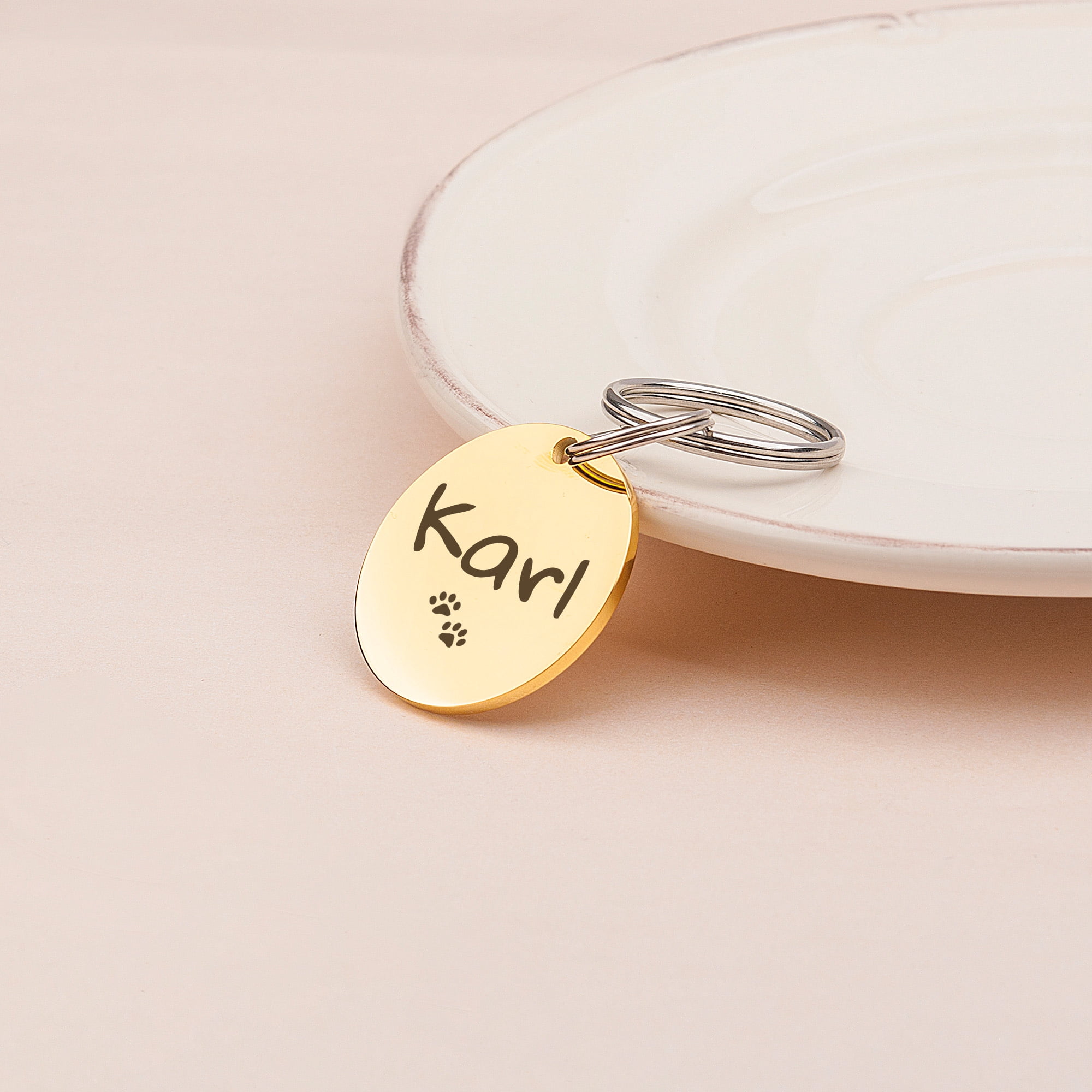 Anavia Stainless Steel Metal Round Name - Icon Birthday Holiday Christmas Engraved Dog ID Tag, Gold
