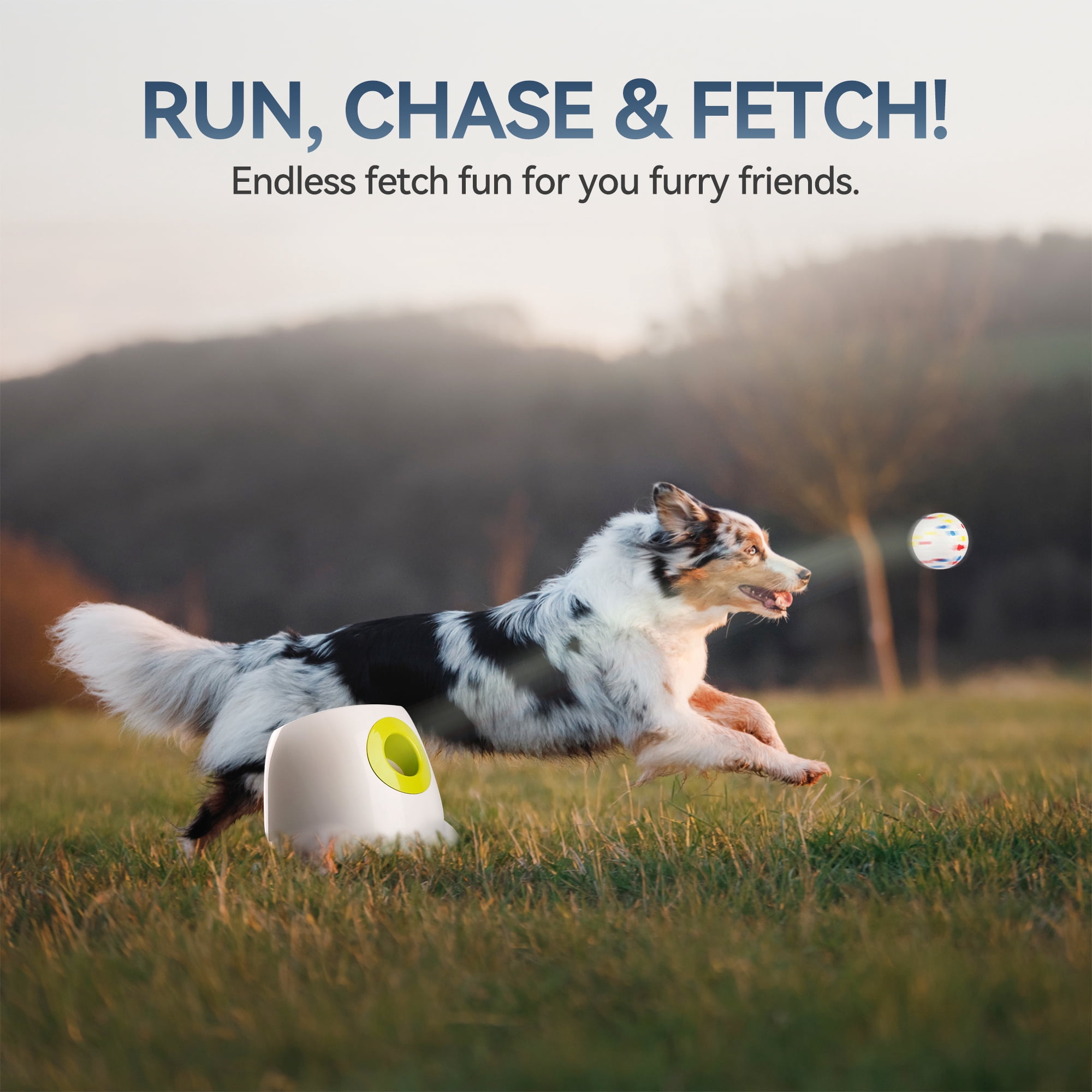 All For Paws Automatic Tennis Ball Launcher for Medium & Large Dogs, 6 ETPU Balls Included, Maxi