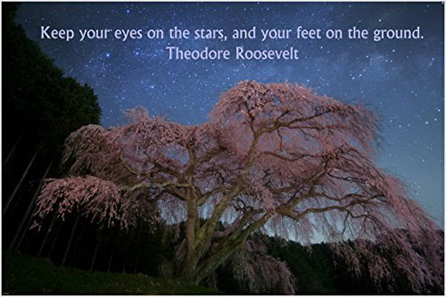 Teddy Roosevelt Keep you eyes on the stars NEW Classroom Motivational POSTER 