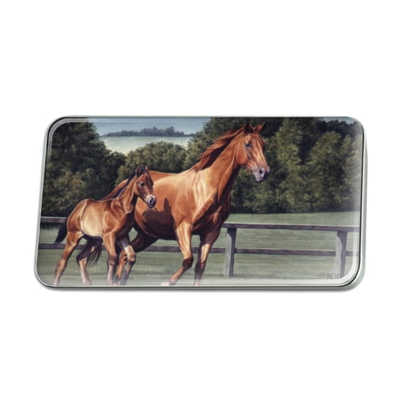 Mother Horse and Foal Baby Fresh Start Metal Rectangle Lapel Hat Pin Tie Tack Pinback