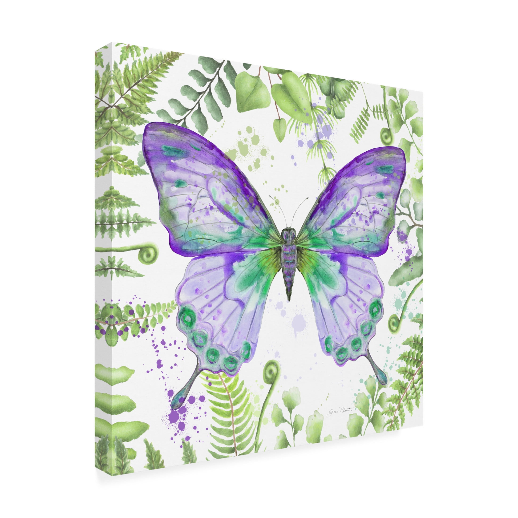 Canvas Wall Art - Jean Plout 'Botanical Butterfly Beauty 4' Wall Art for Living Room, Bedroom, or Office Décor by Trademark Fine Art - 24 x 24 Inches