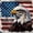 Brown Navy, variant on Manfei Bald Eagle Usa Flag Twin Comforter Sets,Black Gold Bedding Set,Navy Blue Reversible,2pcs,1 Comforter and 1 Pillowcase