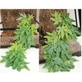 thumbnail image 7 of Reptile Plants Hanging Silk Terrarium Plants Fake Reptiles Climbing Plant 50cm/16", 7 of 7