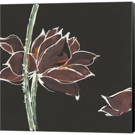 Lotus on Black V by Chris Paschke, Canvas Wall Art