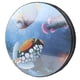 thumbnail image 1 of Ocean Drum, Tambor De Mano De Estructura Razonable No Fácil De Dañar, Para Niños Amantes De Los Instrumentos ANGGREK Hand Drum, 1 of 8