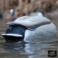 thumbnail image 2 of Greenhead Gear Pro-Grade Duck Decoy,Mallards/No-Head Feeder Pack,Pair, 2 of 4