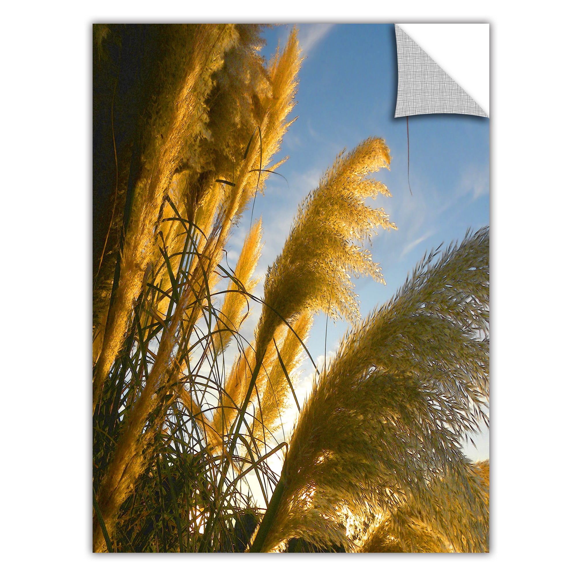 Dean Uhlinger "August Pampas" Removable Wall Art