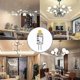 thumbnail image 4 of 10-pack G4 2W LED Bulbs - Replaces 20W Halogen - Warm White 3000K - 200lm - 12V AC/DC G4 - Dimmable, 4 of 5