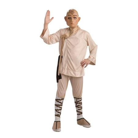 The Last Airbender Deluxe Aang Costume Child