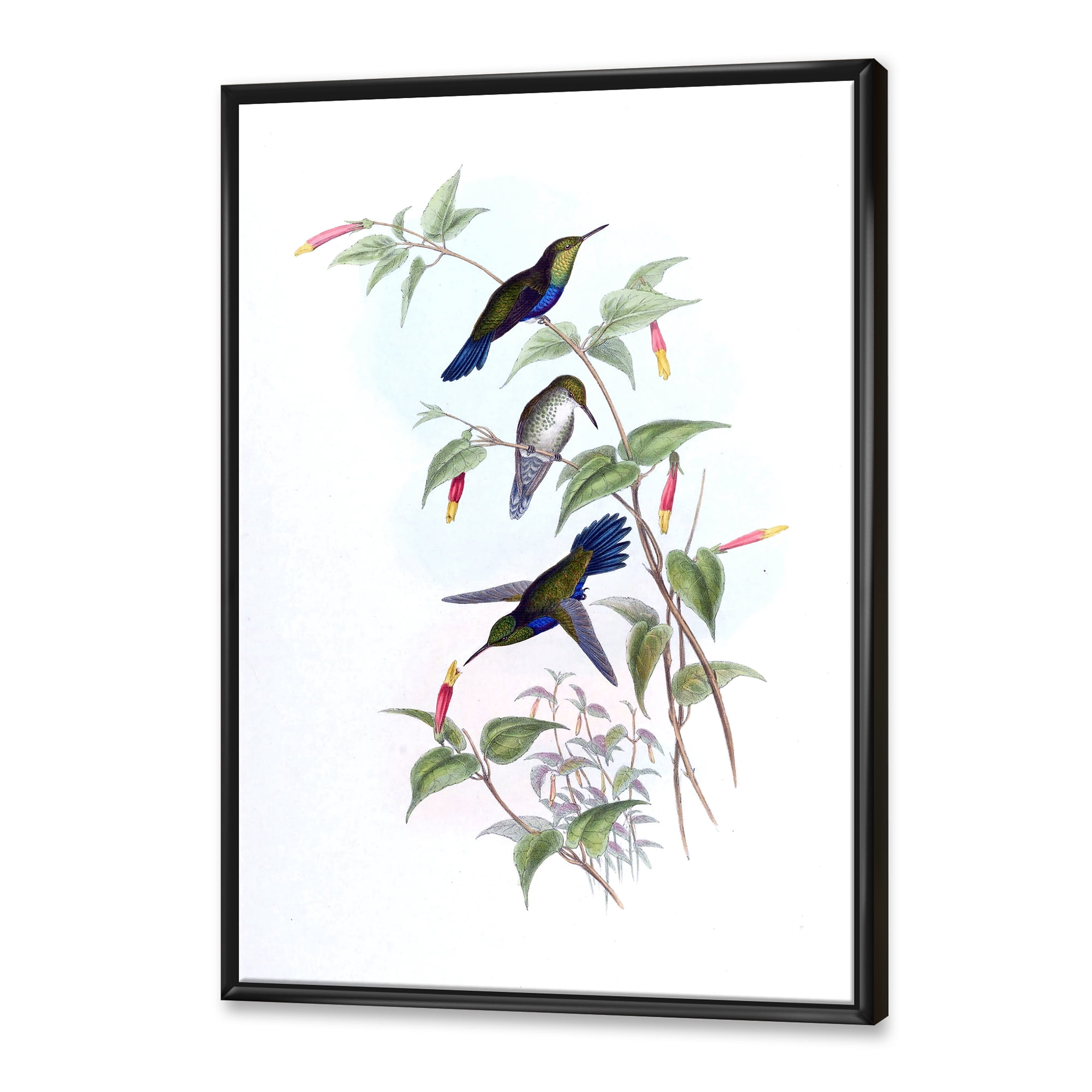 Ancient Hummingbird I 12 in x 20 in Framed Painting Canvas Art Print, by Designart