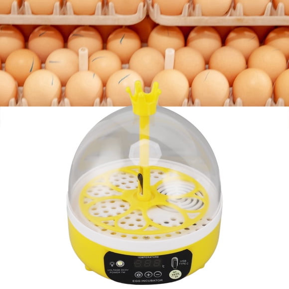 Mini Incubadora De Huevos, Control Automático De Control De Temperatura Y Humedada, Pollos, Patos, Palomas, Mácina Digital Para Incubar Aves De Corral, Candler 4 Huevos