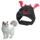 thumbnail image 5 of Sombrero de Halloween para Mascotas Colco Gato Negro, 5 of 7