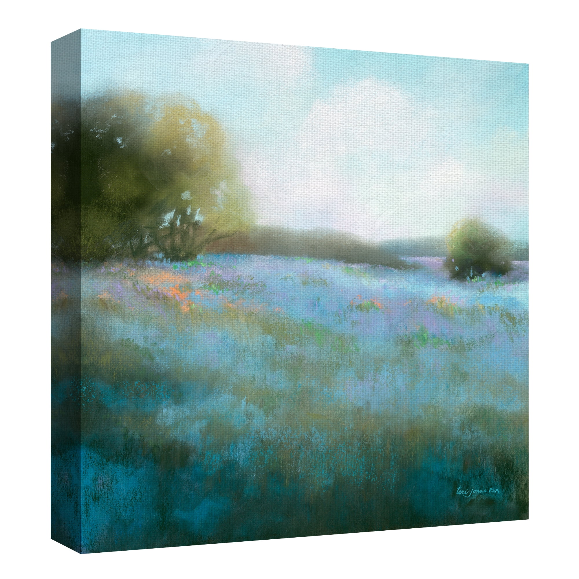 Fine Art Canvas Spring Blues II Meadow Blossoms by Teri Jonas Canvas Art Print