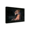 thumbnail image 3 of Xavier Ortega 'Lone Lioness' Canvas Art, 3 of 3