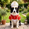 thumbnail image 5 of LACKUST Dog Pope Costume with Hat for Small Medium Dogs & Cats, Funny Holy Hound Pet Halloween Cosplay Outfit, Photo Prop Costume, 5 of 6