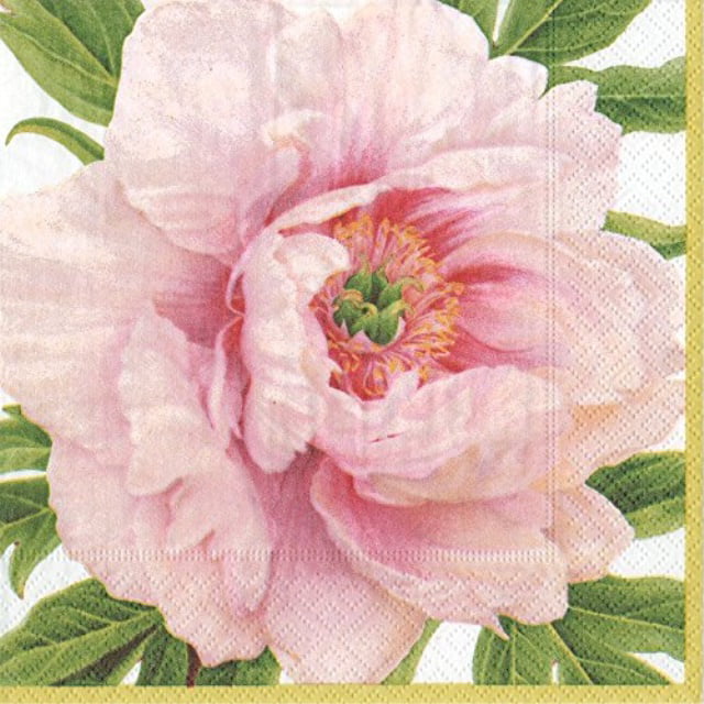 Ivory Pack of 15 Entertaining with Caspari Dancing Poppies Paper Guest Towels